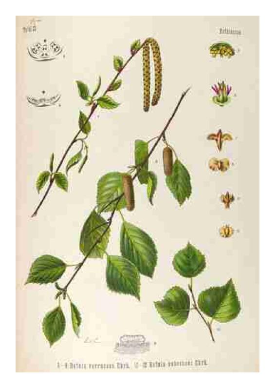 Photo pho18